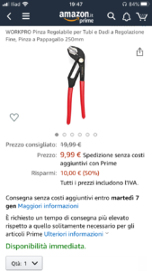 Pappagallo o cannetta Amazon